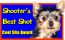 Shooter's Cool Site Award 